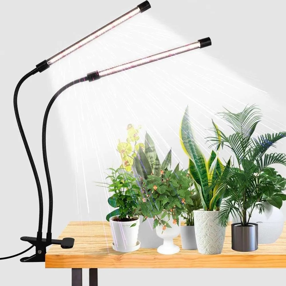 LED grow light above plants indoors