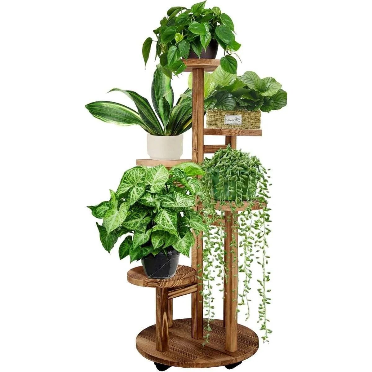 several plants on a wooden tiered plant stand