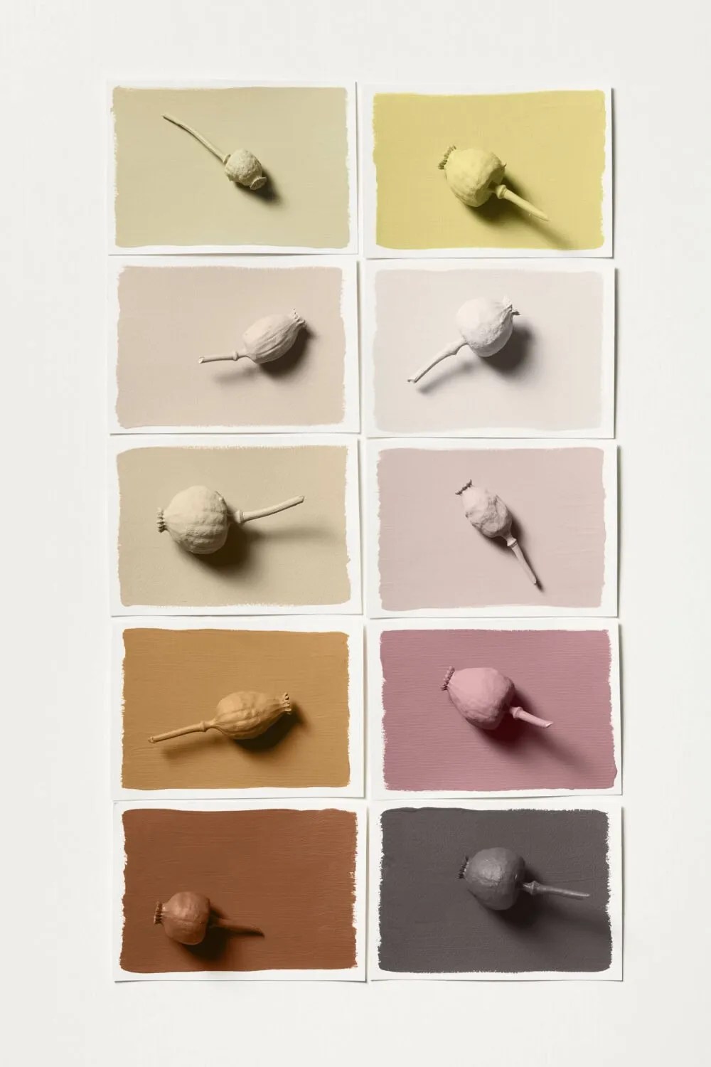 Dulux Buzz Colour Palette