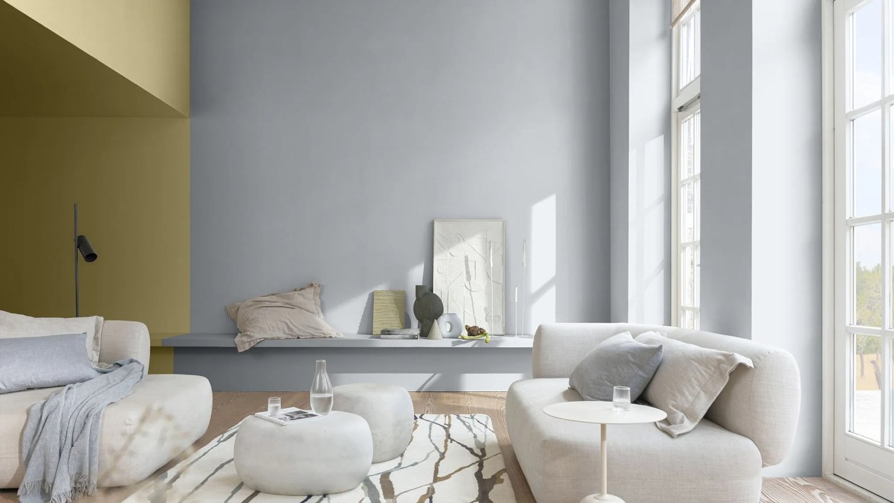 wild wonder and grey blue used in a living room with large windows