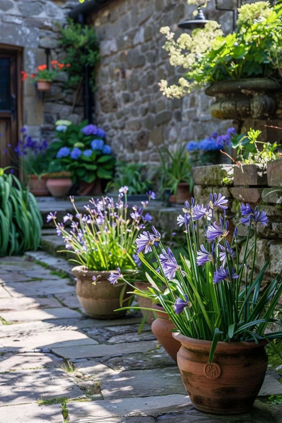 flowers in terracotta pots on a stone path in a rustic style garden