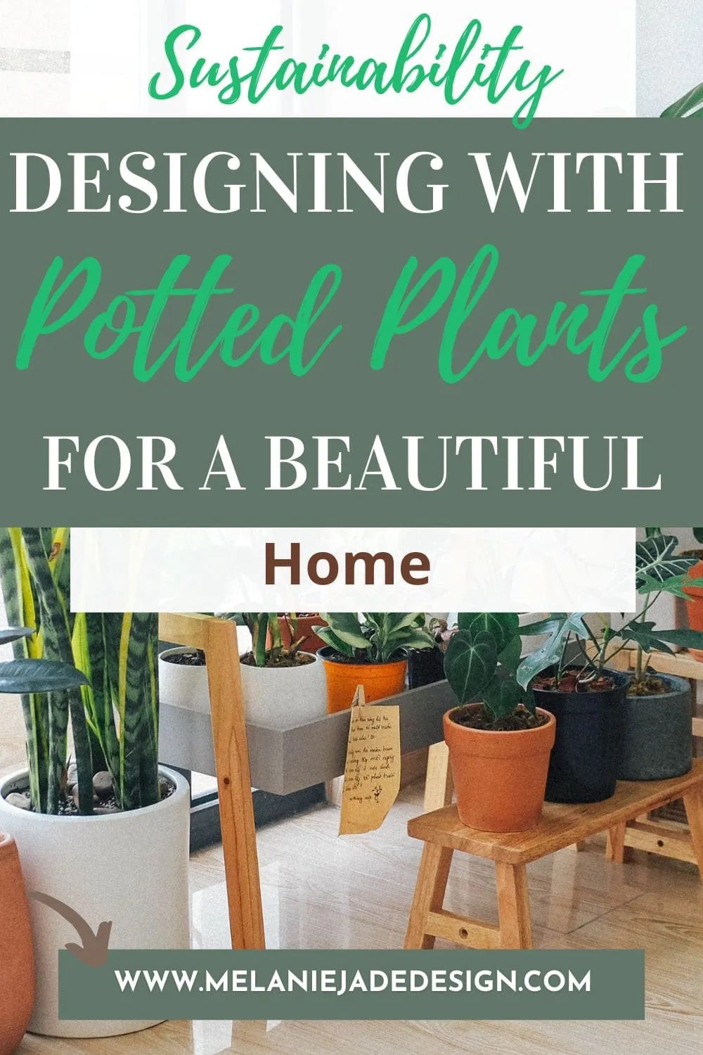 From Seeds to Style: Designing with Potted Plants for a Beautiful Home Pinterest pin