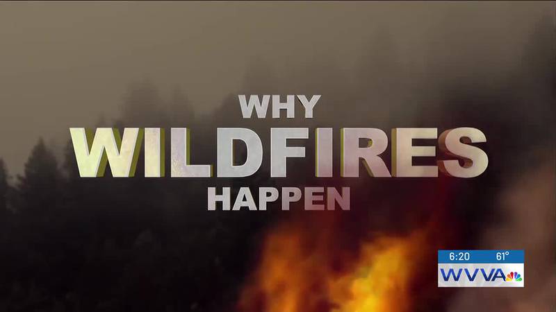 Meteorology Monday: West Virginia wildfire season
